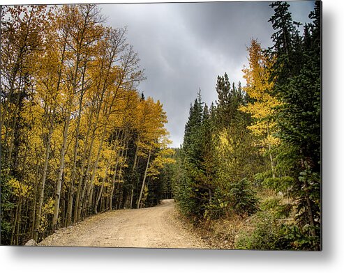 Autumn Metal Print featuring the photograph Dirt Road Autumn Cruising by James BO Insogna