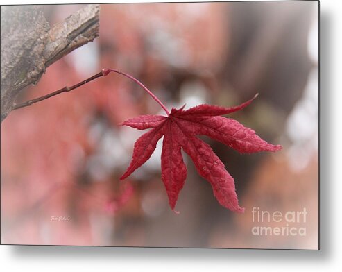 Single Leaf Metal Print featuring the photograph Do not Disturb by Yumi Johnson