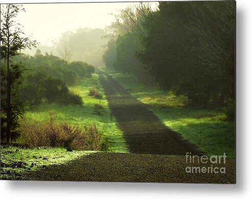 Path Metal Print featuring the photograph Do We Ever Really Know What Lies Ahead by Ellen Cotton