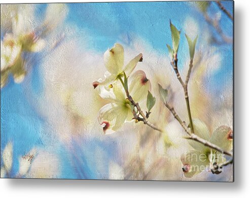 Dogwood Metal Print featuring the photograph Dogwood Against Blue Sky by Lois Bryan