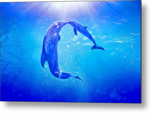 Dolphin Tale 2 Metal Print featuring the photograph Dolphin Tale 2 by Movie Poster Prints