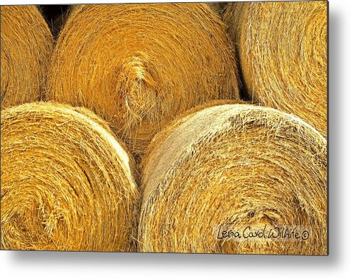 Nature Metal Print featuring the photograph Down At The Farm by Lena Wilhite