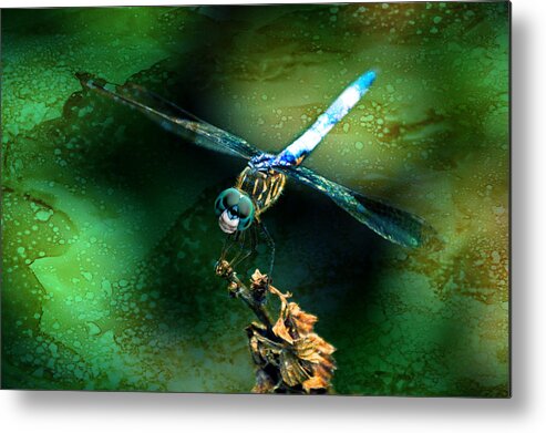 Dragonfly Metal Print featuring the mixed media Dragonfly Art by Lesa Fine by Lesa Fine