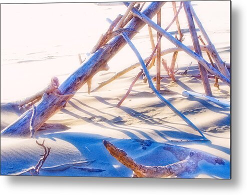 Beach Metal Print featuring the photograph Driftwood 1 by Adria Trail