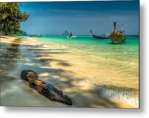 Beach Metal Print featuring the photograph Driftwood by Adrian Evans