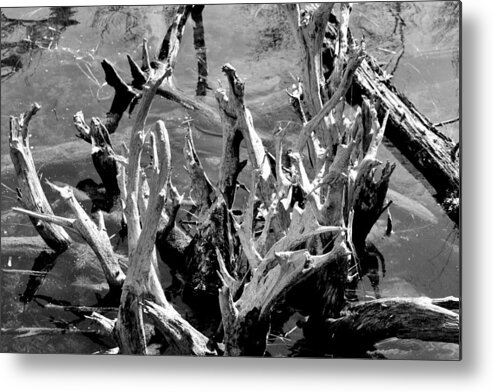 Reflection Metal Print featuring the photograph Driftwood on Lost Lake by Michelle Calkins