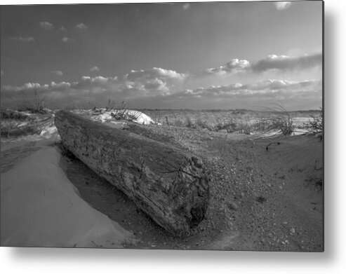 Dunes Metal Print featuring the photograph Driftwood Winter by Steve Gravano