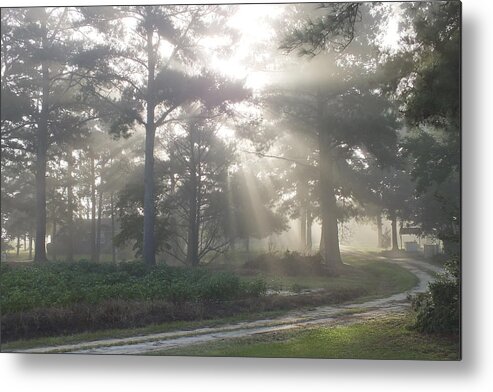 Driveway To Paradise Metal Print featuring the photograph Driveway to Paradise by Mike McGlothlen