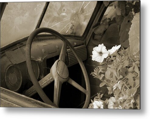 Sepia Metal Print featuring the photograph Driving Flowers by Arthur Fix