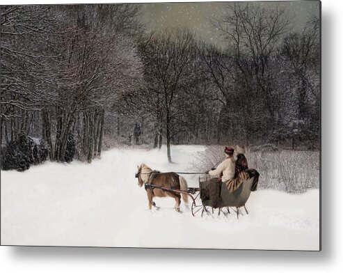 Horse Metal Print featuring the photograph Driving Lessons by Robin-Lee Vieira