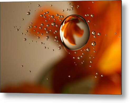 Drop Metal Print featuring the photograph Drops by Brady D Hebert