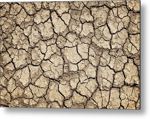 Dry Metal Print featuring the photograph Dry earth by Elena Elisseeva