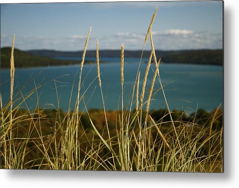 Michigan Metal Print featuring the photograph Dune Grass On A Sunny Fall Day by Owen Weber