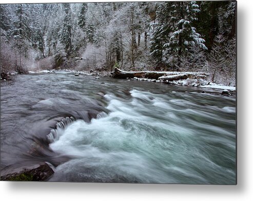 Snow Metal Print featuring the photograph Eagles Winter by Darren White