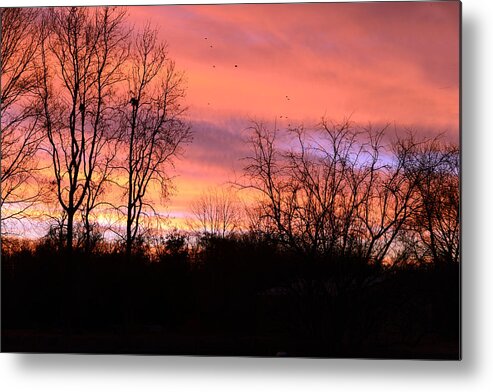 Sunrise Metal Print featuring the photograph Early Morning Color Canvass by Wanda Brandon