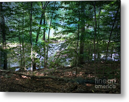 Woods Metal Print featuring the photograph Early Morning Mist by Judy Palkimas