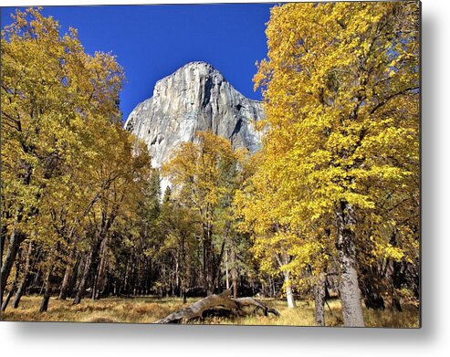 7229 Metal Print featuring the photograph El Capitan in November by Gordon Elwell