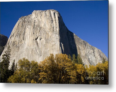 Yosemite Metal Print featuring the photograph El Capitan in Yosemite National Park by David Millenheft