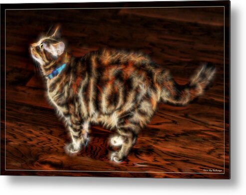 Electric Metal Print featuring the photograph Electric Kitty by Lucy VanSwearingen