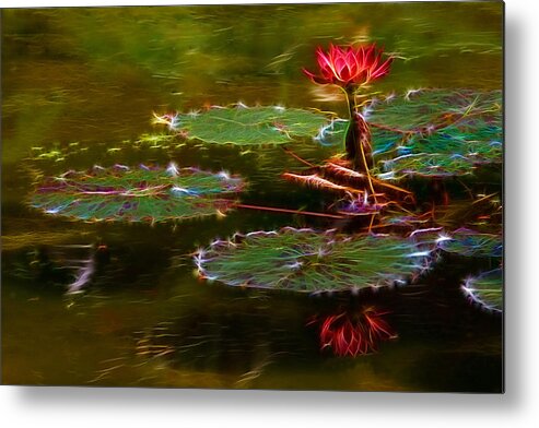 Abstract Metal Print featuring the photograph Electric Lily Pad by Beth Sargent