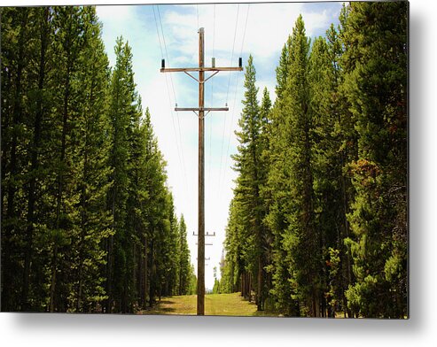 Montana Metal Print featuring the photograph Electric Pole Running Through Forest by Jhillphotography