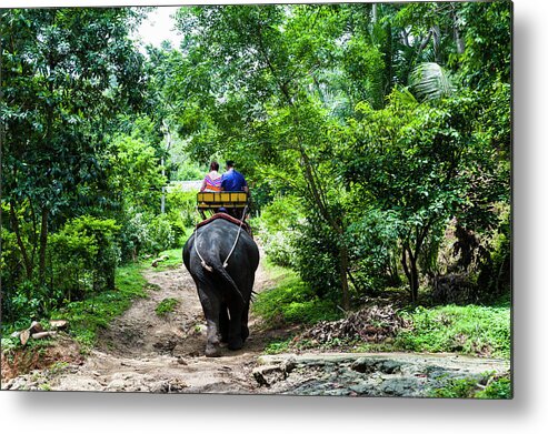Working Animal Metal Print featuring the photograph Elephant Ride, Phuket, Thailand by John Harper