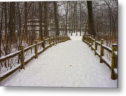 Winter Landscape Metal Print featuring the photograph Embracing Winter by Nicky Jameson