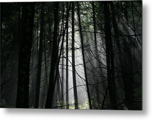 Light Ray Metal Print featuring the photograph Encounter of the Vermont Kind No.2 by Neal Eslinger