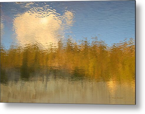 Water Metal Print featuring the photograph End of Summer by Donna Blackhall