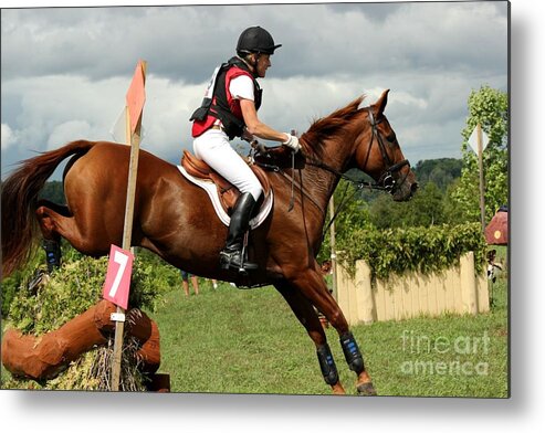 Horse Metal Print featuring the photograph End of the Jump by Janice Byer