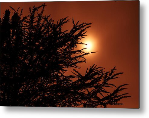 Red Sky Metal Print featuring the photograph Entropy by Mike Trueblood