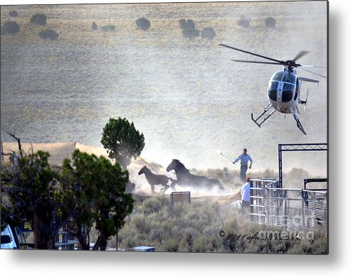 Horse Metal Print featuring the photograph Escape from Butte Valley Trapsite Triple B by Afroditi Katsikis