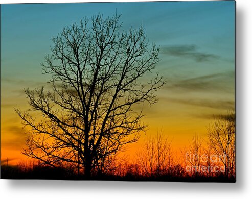 Silhouette Metal Print featuring the photograph Evening Glow by Dan Hefle