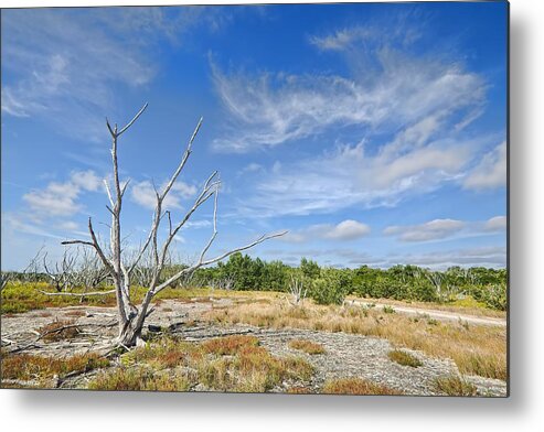 Everglades Metal Print featuring the photograph Everglades Coastal Prairies by Rudy Umans