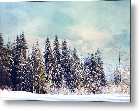 Landscape Metal Print featuring the photograph Evergreens by Sylvia Cook