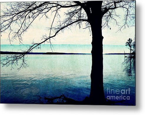Jordan Lake Metal Print featuring the photograph Exposed and Barren by Kelly Nowak