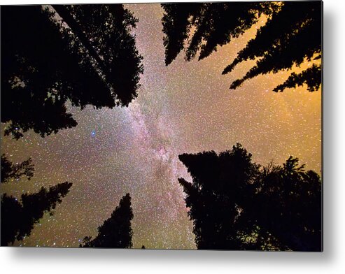 Milky Way Metal Print featuring the photograph Eye of The Forest by James BO Insogna