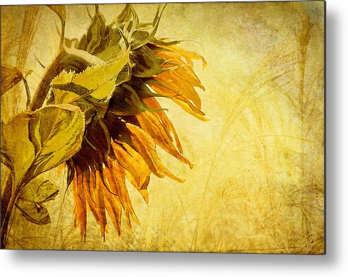 Sunflowers Metal Print featuring the digital art Fade Away by Margaret Hormann Bfa