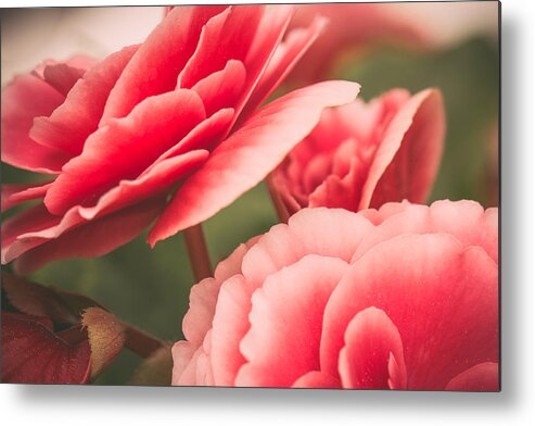Rose Artwork Metal Print featuring the photograph Faded Memories by Sara Frank