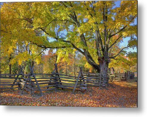 Hdr Metal Print featuring the photograph Fall Color #2 by Wendell Thompson