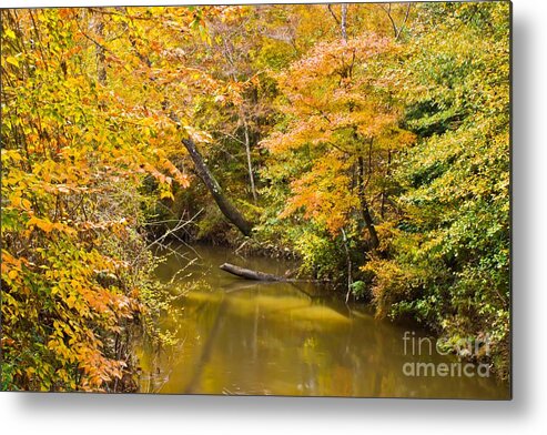 Michael Tidwell Photography Metal Print featuring the photograph Fall Creek Foliage by Michael Tidwell