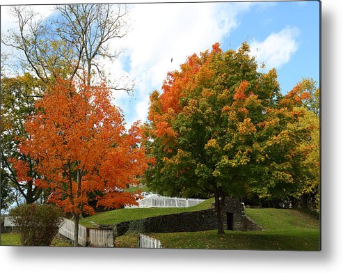 Autumn Metal Print featuring the photograph Fall Foliage Colors 09 by Metro DC Photography