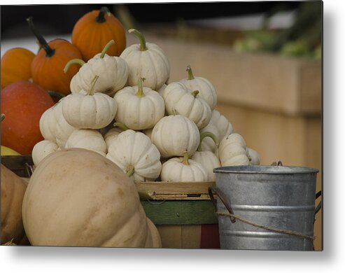 Fall Metal Print featuring the photograph Fall Is Coming by GeeLeesa Productions