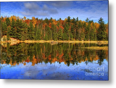 Festblues Metal Print featuring the photograph Fall.. by Nina Stavlund