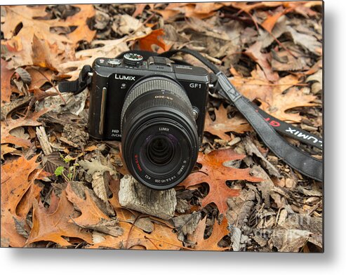 Fall Metal Print featuring the photograph Fall Photography by Suzanne Luft