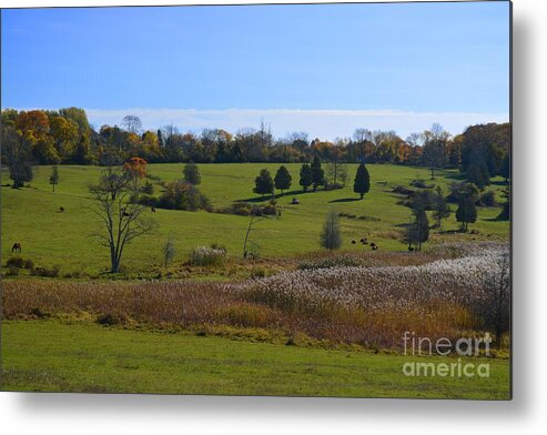 Farm Metal Print featuring the photograph Farm View Too by Tammie Miller