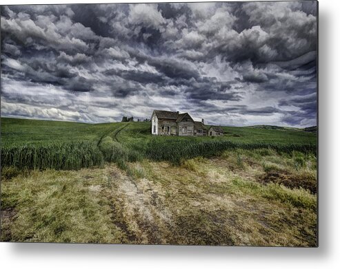 Dreams Metal Print featuring the photograph Field of Dreams by Patricia Dennis