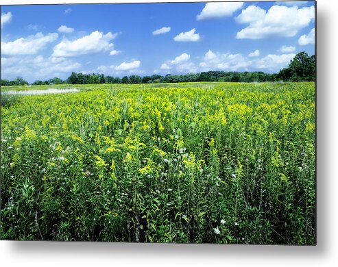 Clouds Metal Print featuring the photograph Field Of Flowers Sky Of Clouds by Jim Shackett