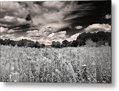 Black And White Metal Print featuring the photograph Fields of Gold and Clouds by Mitchell R Grosky