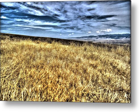 Montana Photographs Metal Print featuring the photograph Fields of Gold by Kevin Bone